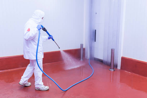 Ramtown, NJ Pressure Washing Services Company